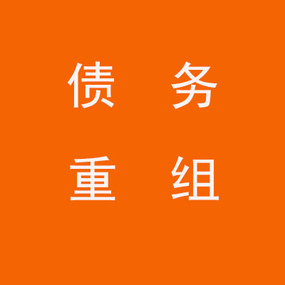 胡市镇个人债务重组优化